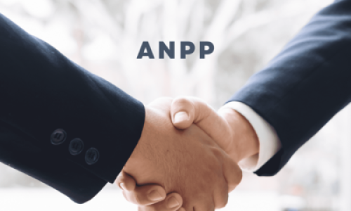 ANPP - ACORDO DE NÃO PERSECUÇÃO PENAL